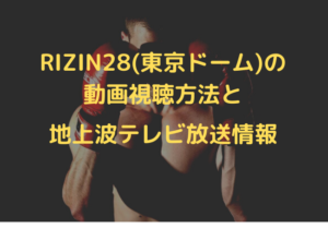 RIZIN28 douga TV